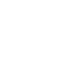 icon1 icon1